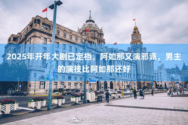 2025年开年大剧已定档，阿如那又演邪派，男主的演技比阿如那还好
